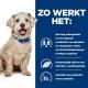 Een fluffy hond in een blauwe halsband zit tegen een blauwe achtergrond met tekst over lage suiker, vezels, eiwitten, en L-carnitine niveaus.