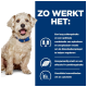 Een fluffy hond in een blauwe halsband zit tegen een blauwe achtergrond met tekst over lage suiker, vezels, eiwitten, en L-carnitine niveaus.