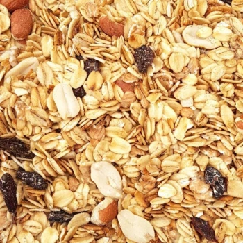 Premium Fettfutter für Wildvögel 2,5 kg