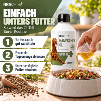 Ein kastanienbraunes Pferd mit einem weißen Stern auf der Stirn steht zwischen hohen Gräsern und bunten Wildblumen in einem üppig grünen Feld.