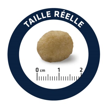 Gros plan d'une petite pelletée de nourriture pour animaux dans un graphique circulaire étiqueté "Taille réelle," avec une règle mesurant de 0 à 2 cm.