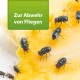 Fliegen auf einem Stück gelbem Obst mit einer grünen Box darüber, die 'Zur Abwehr von Fliegen' liest.
