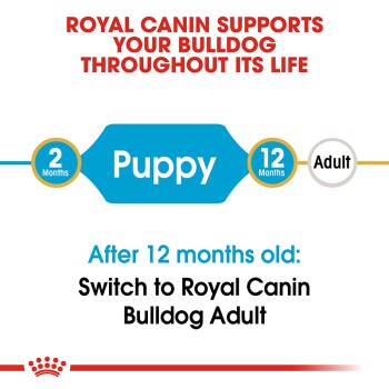 Royal Canin graphic promoting Bulldog food, stating "Supports your Bulldog throughout its life," with age recommendations for Puppy and Adult.