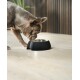 Futternapf aus Melamin, 420ml, rutschfest, für Hunde & Katzen, schwarz