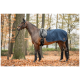 Ein braunes Pferd steht in einem Wald mit Herbstblättern, trägt eine marineblaue gesteppte Satteldecke und schwarze Beinschoner, mit einem Zaumzeug.