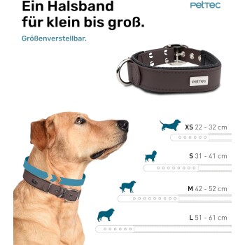 Nahaufnahme eines Hundes in einem braunen verstellbaren Halsband mit einer silbernen Schnalle, neben einer Größentabelle von XS bis L. Text: "Ein Halsband für klein bis groß."