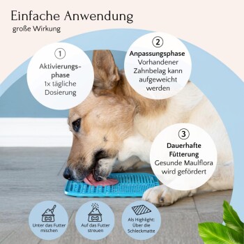 Bild zur Förderung der Gesundheitsvorteile für Haustiere, das Text über Zahngesundheit, funktionale Zutaten und Eignung für empfindliche Hunde zeigt.