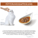 Weiße langhaarige Katze wird neben einem Napf mit Nassfutter gestreichelt; die Überschrift 'FÜTTERUNGSEMPFEHLUNG' ist sichtbar.