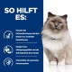 Eine flauschige Katze sitzt vor einem blauen Hintergrund mit Text, der Vorteile umreißt: fördert die Fettverbrennung, erhöht das Sättigungsgefühl, unterstützt ein gesundes Immunsystem.