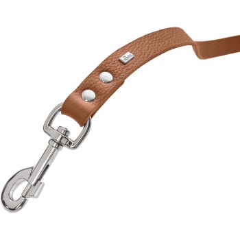 Braune Lederleine mit silbernem Zubehör und zwei dekorativen Nieten, mit einem Metallclip zur Befestigung.