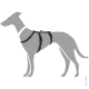 Illustration eines grauen Hundes, der ein schwarzes Geschirr trägt und das Design und die Passform des Geschirrs zeigt.