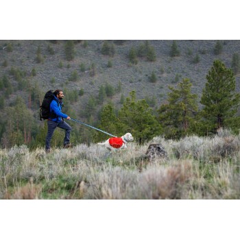 Eine Person in einer blauen Jacke und grauen Hosen führt einen kleinen Hund mit einem roten Mantel auf einem grasbewachsenen Hügel umgeben von Bäumen.