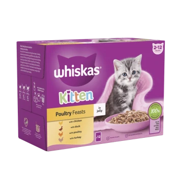 Whiskas Kitten Poultry Feasts in jelly, featuring a playful gray kitten on the packaging, includes chicken, duck, and turkey.