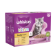 Whiskas Kitten Poultry Feasts in jelly, featuring a playful gray kitten on the packaging, includes chicken, duck, and turkey.