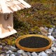 Ein Holzvogelhaus neben einem runden Holztablett, das mit schwarzem Vogelfutter gefüllt ist, mit einem kleinen Vogel, der in der Nähe auf steinigem Boden steht.