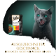 Eine graue Katze leckt sich die Lippen neben einem Sheba-Beutel mit der Aufschrift "Selection in Sauce mit Huhn und Rind" mit verlockendem Text.