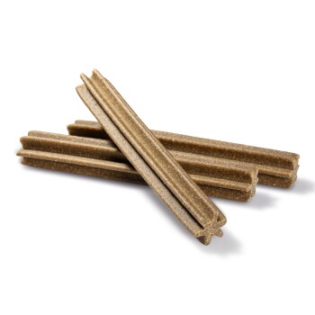 Multifit dental care sticks top