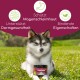 Ein Hund sitzt auf Gras neben einem Glas mit "Magen & Darm Leckerli," das Vorteile für Magen- und Darmgesundheit zeigt.