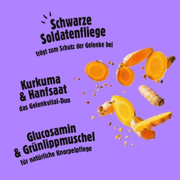 Kurkumascheiben und Hanfsamen mit deutschem Text über Gelenkschutz-Inhaltsstoffe in einem Haustierergänzungsmittel.