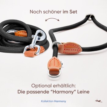 Eine schlanke schwarze Hundeleine mit Lederakzenten, Metallclip und Ringen. Text: "Noch schöner im Set" und "Optional erhältlich: 'Harmony' Leine."