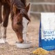 Ein braunes Pferd mit einer weißen Blässe frisst aus einer Metallschüssel auf dem Boden, neben einem Sack Wisan Functional Feed und einem Haufen Futterpellets.