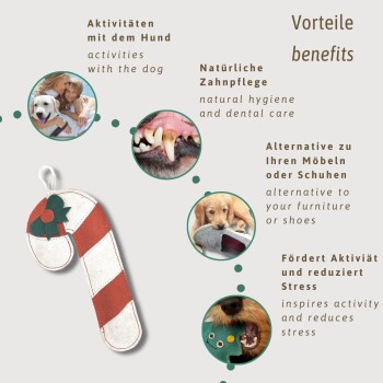 Hundespielzeug in Form eines Zuckerstangen mit einer grünen Schleife, das Vorteile bietet: Hundetätigkeiten, Zahnpflege, Möbelalternative und Stressabbau.