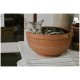 Silbergraue getigerte Katze zusammengerollt schlafend in einem Terrakotta-Blumentopf auf einem weißen Tisch neben einem gestreiften Tuch.