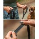 Eine Person in einem grünen Tanktop und Jeansshorts hält zwei schwarze Hundeleinen, mit einem glücklichen braunen Hund im Hintergrund.