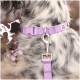 Nahaufnahme des Halses eines Hundes mit einem helllila Halsband mit einem silbernen Clip und einer passenden Leine, umgeben von weichem Fell und Blumen.