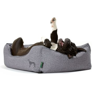 Ein verspielter schwarz-weißer Welpe, der auf dem Rücken in einem grauen Hundebett liegt, mit den Pfoten in der Luft und einem freudigen Ausdruck.