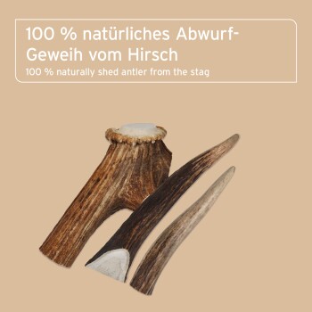 Highland-Hirschgeweih-Kauspielzeug für Hunde unter 10 kg, 100% natürlich, unterstützt die Zahnpflege und ist geeignet für Hunde mit Allergien.
