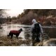 Eine Person in einem grauen Hoodie und Angelausrüstung steht in einem Fluss, begleitet von einem schwarz-weißen Hund in einem roten Mantel.