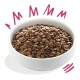 A white bowl filled with brown pet food kibble, surrounded by playful pink "Mmm" graphics, suggesting deliciousness.