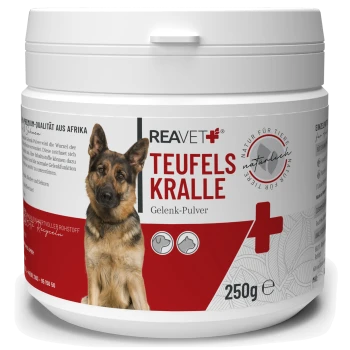 Behälter mit REAVET Teufelskralle Gelenk-Pulver für Hunde, mit einem Deutschen Schäferhund auf dem Etikett, 250 g Größe.