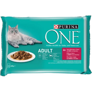 Purina ONE Katzenfutterpaket mit einer grauen Katze neben einem Teller mit Nassfutter, beschriftet mit "ERWACHSEN" und dem Slogan "Sichtbare Gesundheit für heute und morgen."