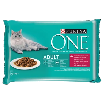 Purina ONE Katzenfutterpaket mit einer grauen Katze neben einem Teller mit Nassfutter, beschriftet mit "ERWACHSEN" und dem Slogan "Sichtbare Gesundheit für heute und morgen."