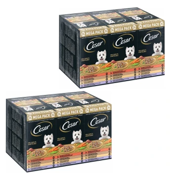 Cesar Mega Pack karmy dla psów, zawierający 24 tacki z różnymi smakami, zawiera zdjęcia składników, takich jak marchewki i mięso.