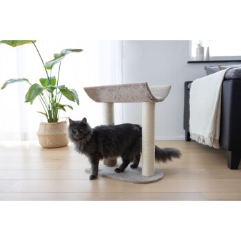 Een fluffy zwarte kat staat naast een beige kattenboom met krabpalen, geplaatst in een lichte kamer met een kamerplant en een bank.
