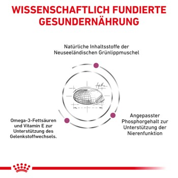 Skizze einer neuseeländischen Grünlippmuschel mit Text über Omega-3, Vitamin E und Phosphor für Gelenk- und Nierengesundheit.