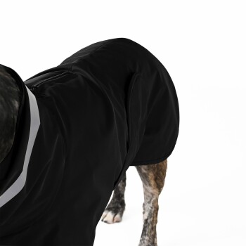 Ein gestromter Hund trägt einen schwarzen, isolierten Mantel mit hohem Kragen und reflektierendem Streifen, steht vor einem weißen Hintergrund.