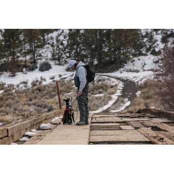 Ein Mann in einem grauen Hoodie und einer Mütze steht auf einer Holzbrücke mit einer Angelrute und beobachtet seinen schwarz-weißen Hund im roten Mantel.