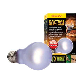 A 60W daytime heat lamp with a bulb design, next to its packaging labeled "DAYTIME HEAT LAMP" and "Multi-Purpose."