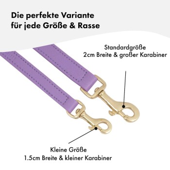 Lila Hundeleinen nebeneinander ausgestellt, gekennzeichnet für Standard- und kleine Größen, die Breite und Clipgrößen hervorheben.
