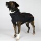 Ein stilvoller Hund, der eine schwarze wasserdichte Jacke mit einem orangefarbenen Streifen trägt und nach oben schaut, vor einem schlichten weißen Hintergrund.