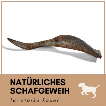 Natürlicher Schafhorn für starke Kauer!