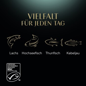 Text lautet "VIELFALT FÜR JEDEN TAG" mit Illustrationen von Lachs, Hochseefisch, Thunfisch, Kabeljau und einem MSC-Logo.