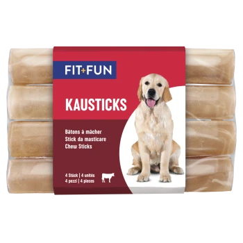 Packung FIT+FUN KAUSTICKS (4 Stück) mit Foto eines Golden Retrievers und der Aufschrift "Chew Sticks".