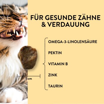 Nahaufnahme des Mauls einer Katze mit Zähnen neben einem Leckerli. Text: "Für gesunde Zähne & Verdauung" mit aufgelisteten Zutaten.