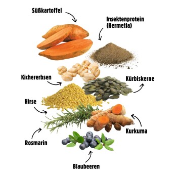 Bild von Zutaten für Haustierfutter: Süßkartoffeln, Insektenprotein, Kichererbsen, Hirse, Kürbiskerne, Rosmarin, Kurkuma und Blaubeeren, mit Pfeilen.