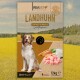 Hundefutterverpackung mit "Landhuhn mit Reis & Möhren", glutenfrei, mit Bildern von Huhn, Reis und Karotten. 12kg Größe.